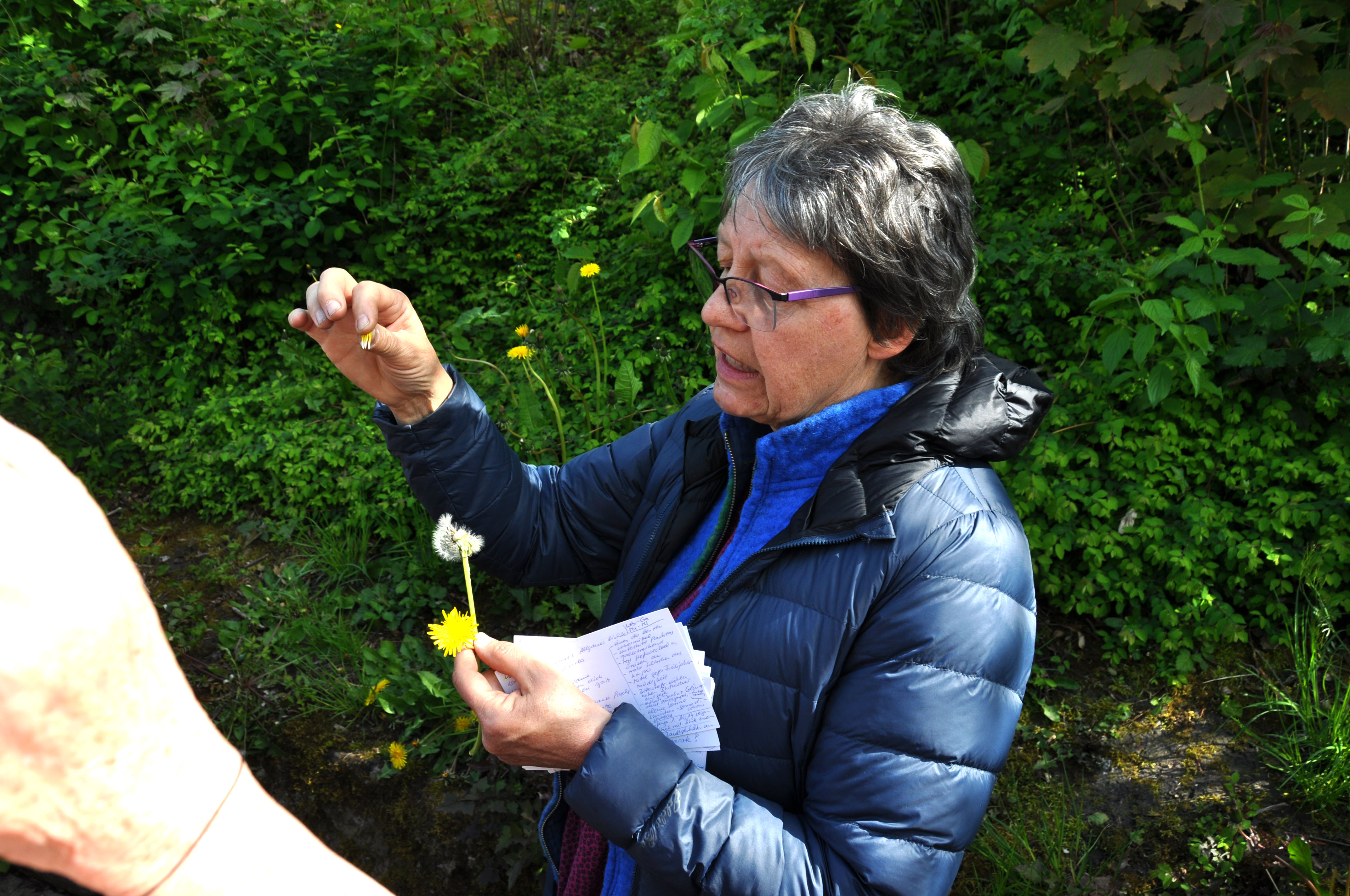 NF_240427_OG_100_Wildkruterwanderung_02_korr.jpg